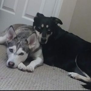 Meet your Posher, Jacquelyn